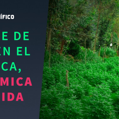 Cortar la luz en el Cauca podría ser una bomba social