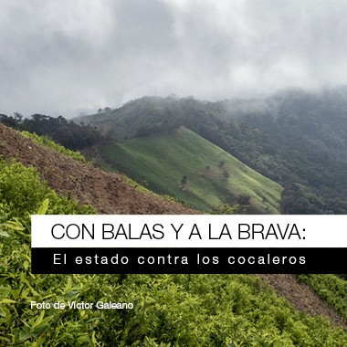 Con balas y a la brava: el Estado contra los cocaleros