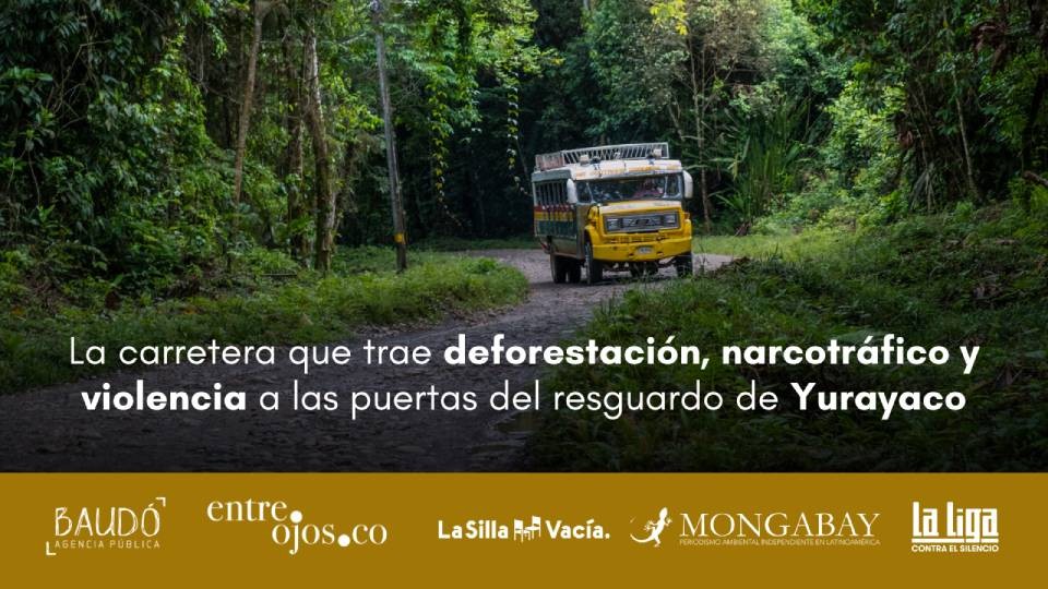 La carretera que trae deforestación, narcotráfico y violencia  a las puertas del resguardo de Yurayaco