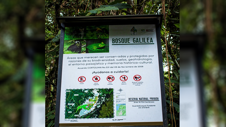 La ilusión del parque Bosque de Galilea que dejó a los campesinos sin tierra 