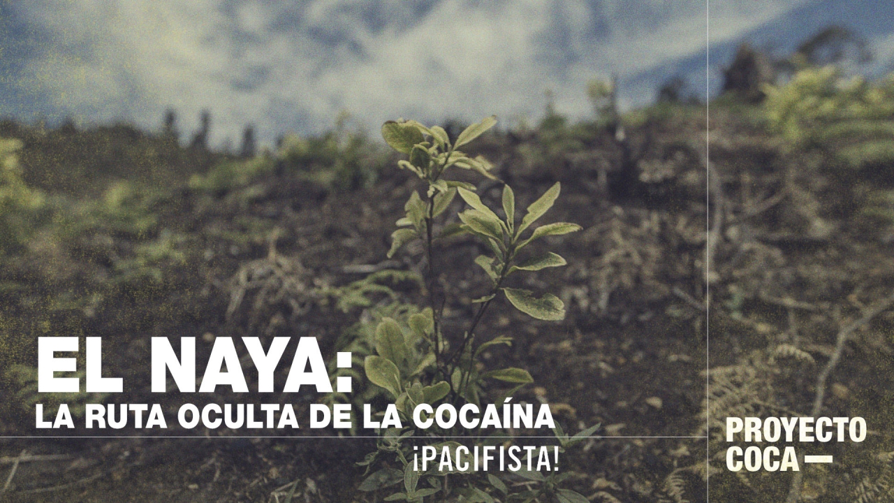 La región de El Naya, Valle del Cauca, se transforma en la autopista de la cocaína en Colombia