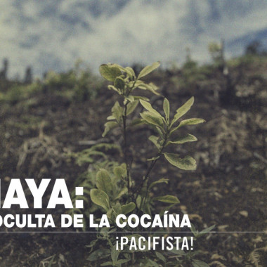 La región de El Naya, Valle del Cauca, se transforma en la autopista de la cocaína en Colombia