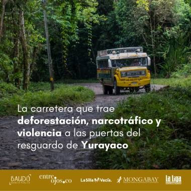 La carretera que trae deforestación, narcotráfico y violencia  a las puertas del resguardo de Yurayaco