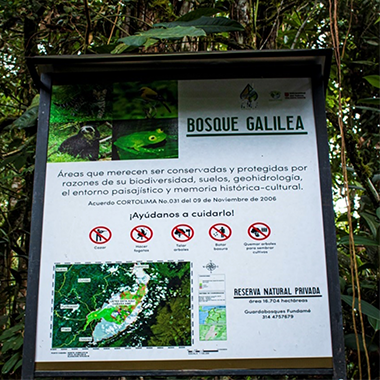 La ilusión del parque Bosque de Galilea que dejó a los campesinos sin tierra 