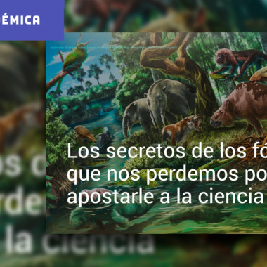 Los secretos de los fósiles que nos perdemos por no apostarle a la ciencia