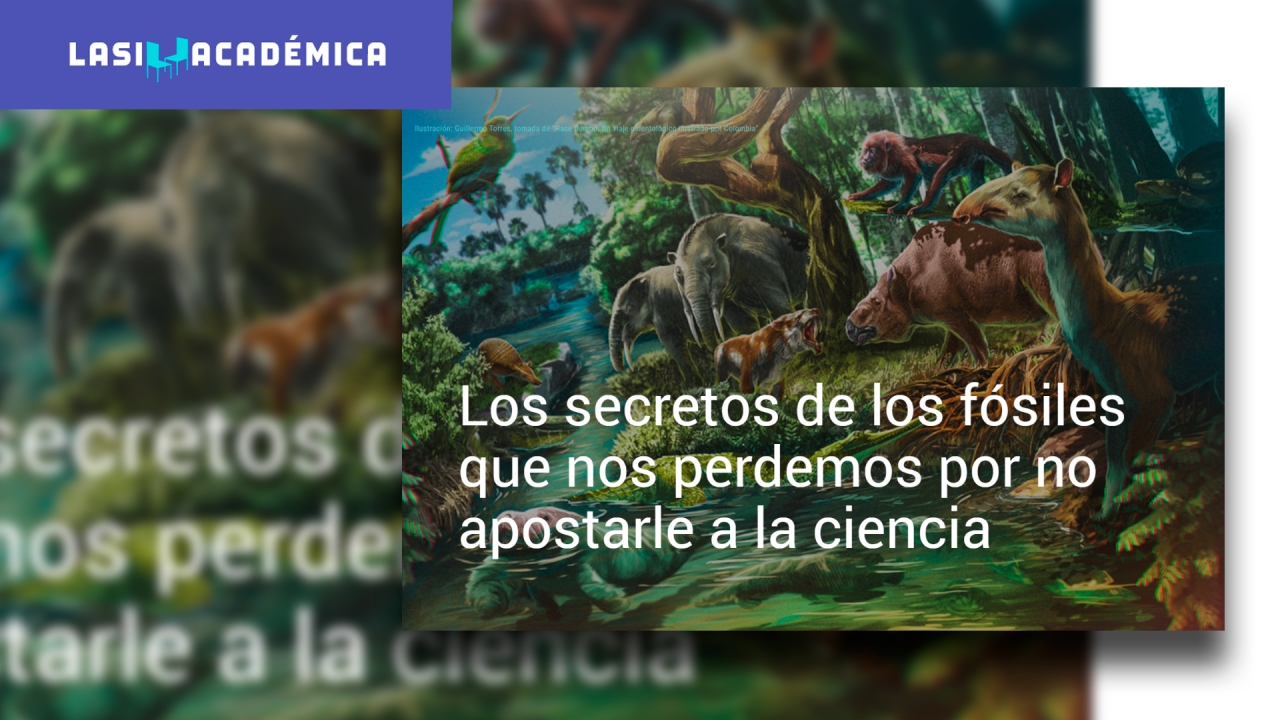 Los secretos de los fósiles que nos perdemos por no apostarle a la ciencia