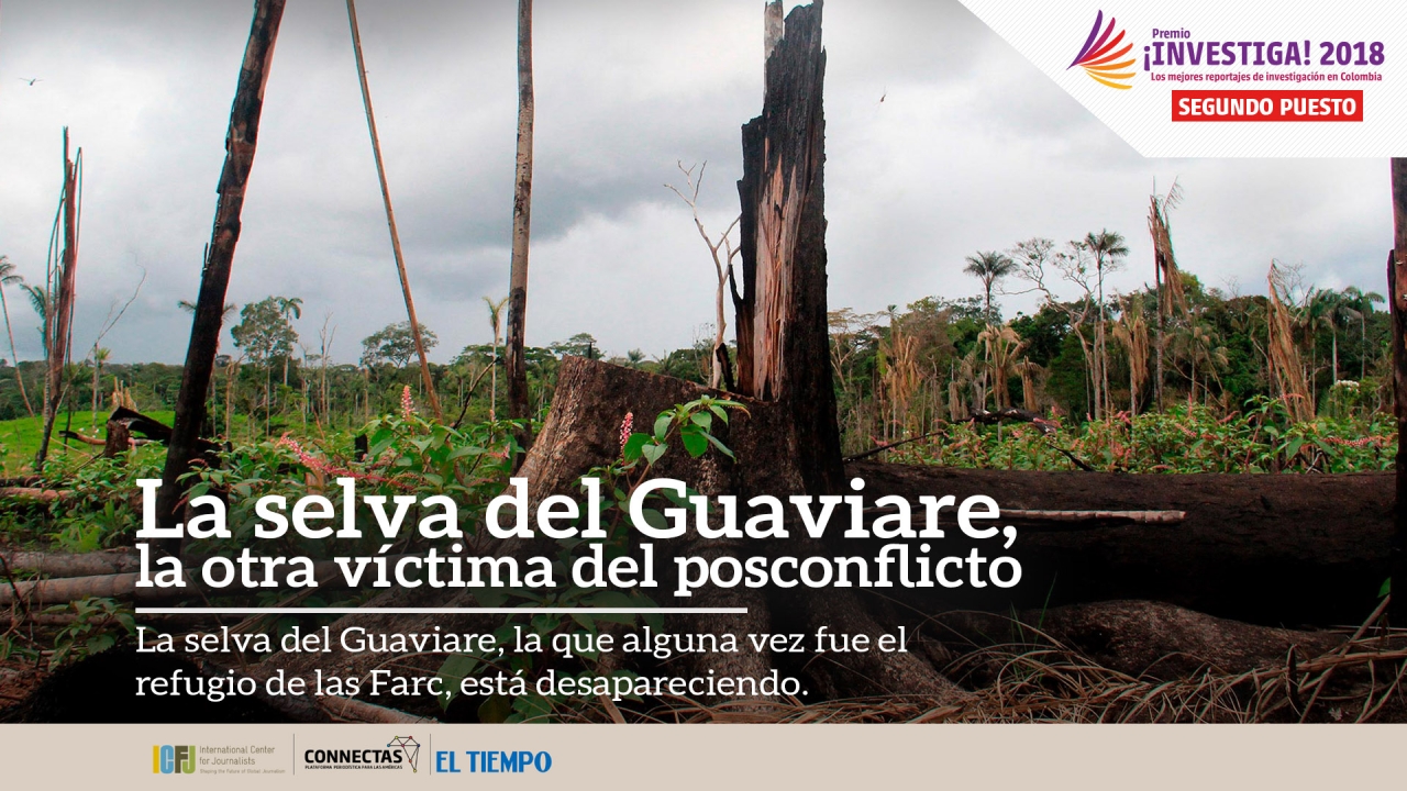 La selva del Guaviare y su disputa contra la deforestación