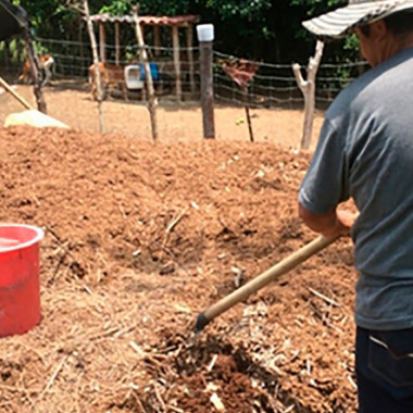 Tierras productivas, el reto para las víctimas restituidas en el Valle