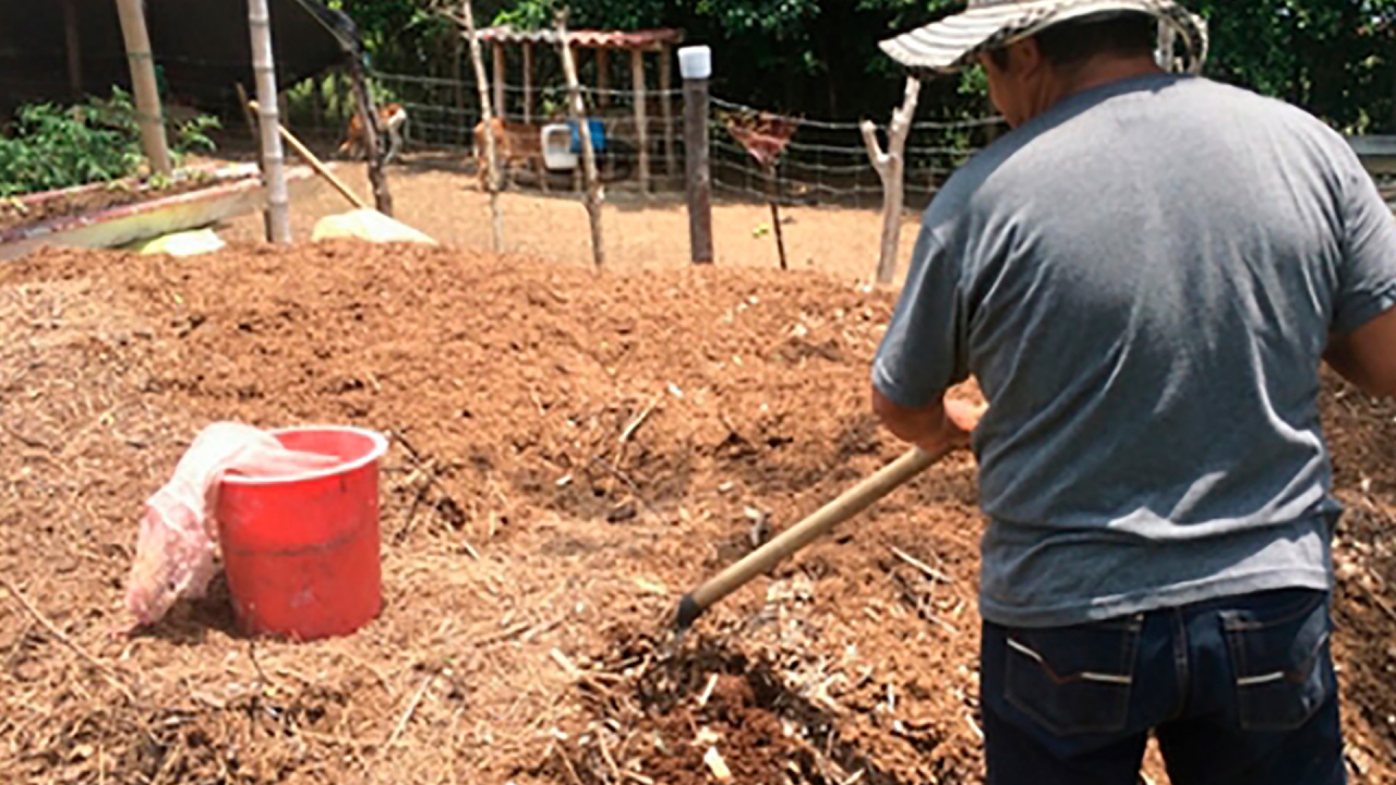 Tierras productivas, el reto para las víctimas restituidas en el Valle